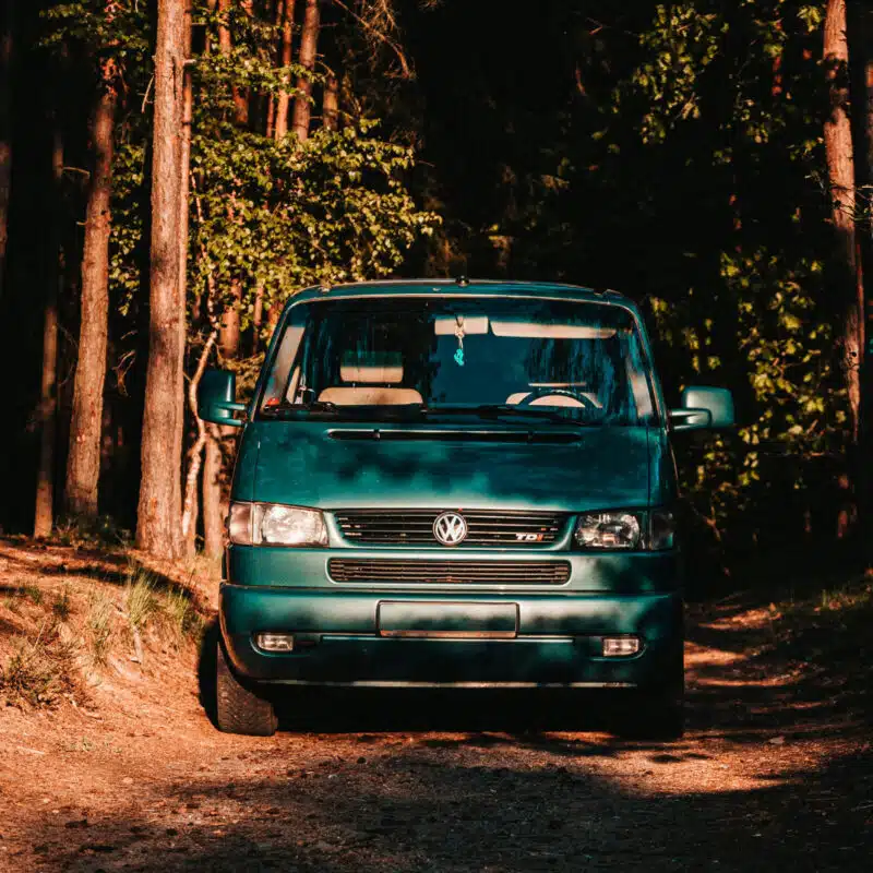 Green T4 in the woods