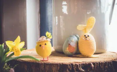 Easter eggs, chickens and flowers on a wooden background