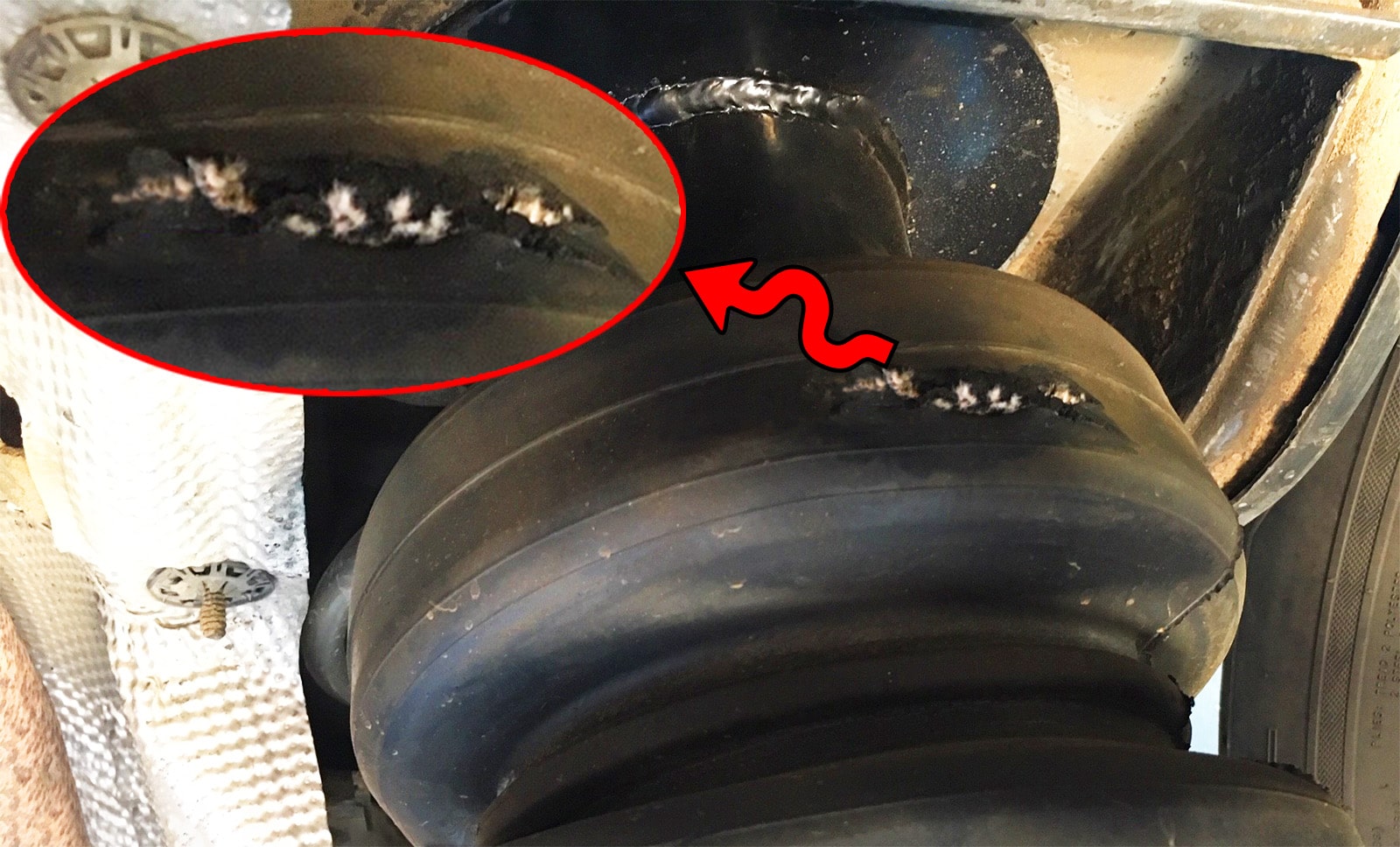Broken AirBag 01 Black Air Spring with a hole in it and red arrow highlighting